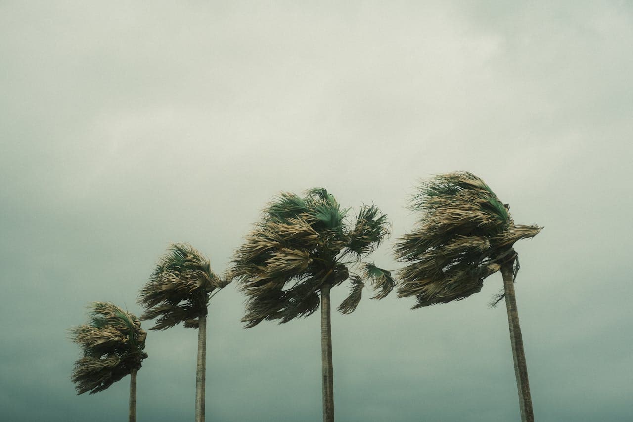 After the Storm: A Homeowner's Guide to Handling Hurricane Damage